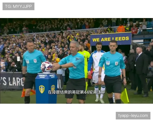 卢顿城重返英超：英冠冠军的荣耀征程与全新挑战