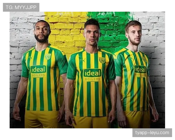 诺维奇黄绿风暴新赛季强势崛起，挑战与机遇并存