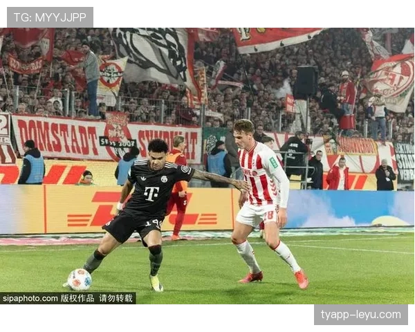 美因茨阵容深度