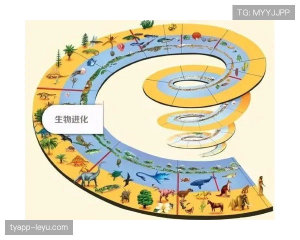 巴拿马能否再现2018奇迹 2026世界杯预选赛晋级前景分析 巴拿马能否再现2018奇迹 2026世界杯预选赛晋级前景分析